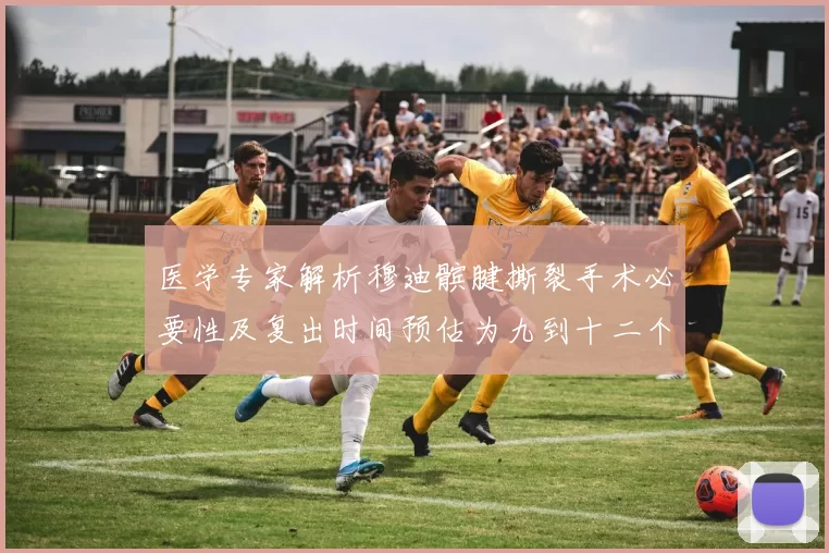 医学专家解析穆迪髌腱撕裂手术必要性及复出时间预估为九到十二个月