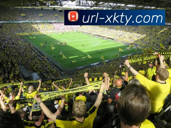 星空体育APP 高清赛事图